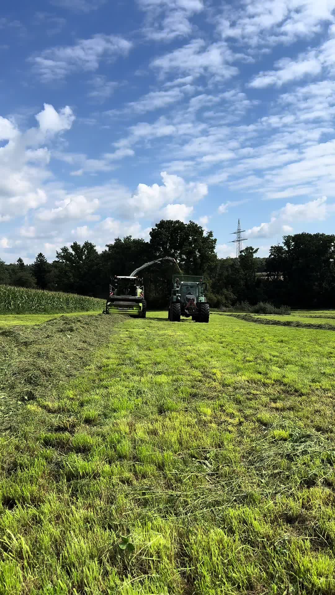 @Philipp_Agrar🌾🚨🚜🚨