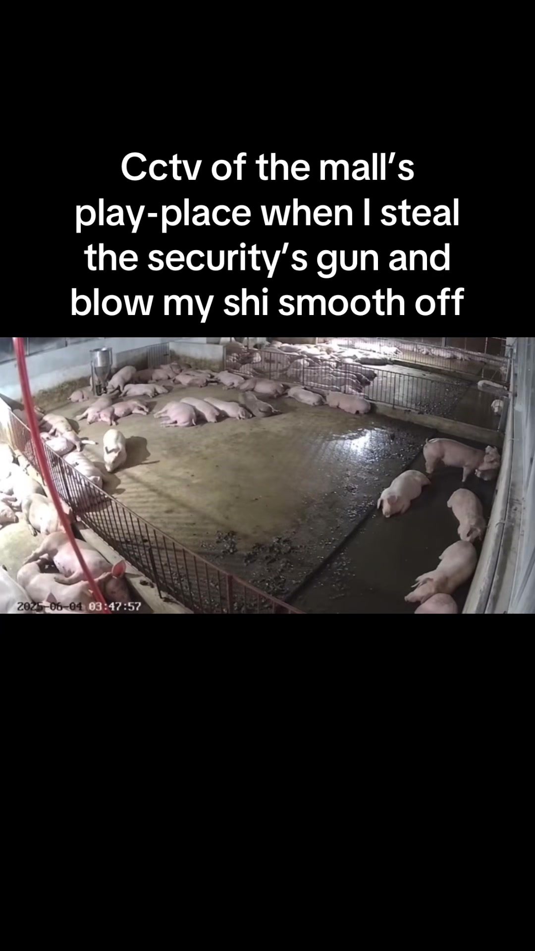 @SeemlyOwl