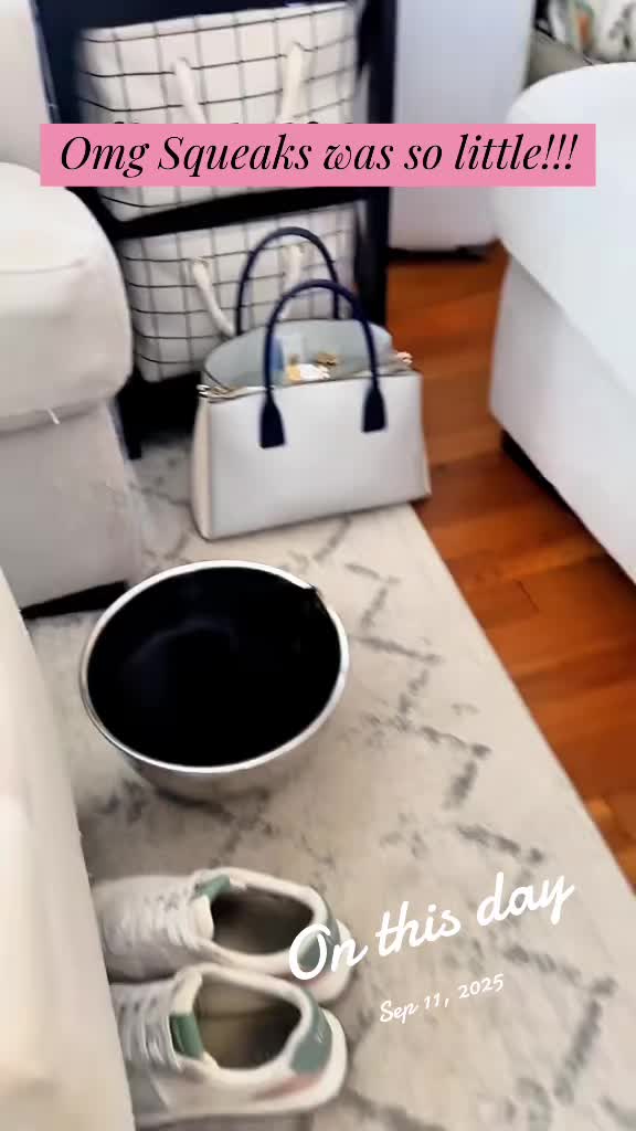 @TailsandWhiskersCo