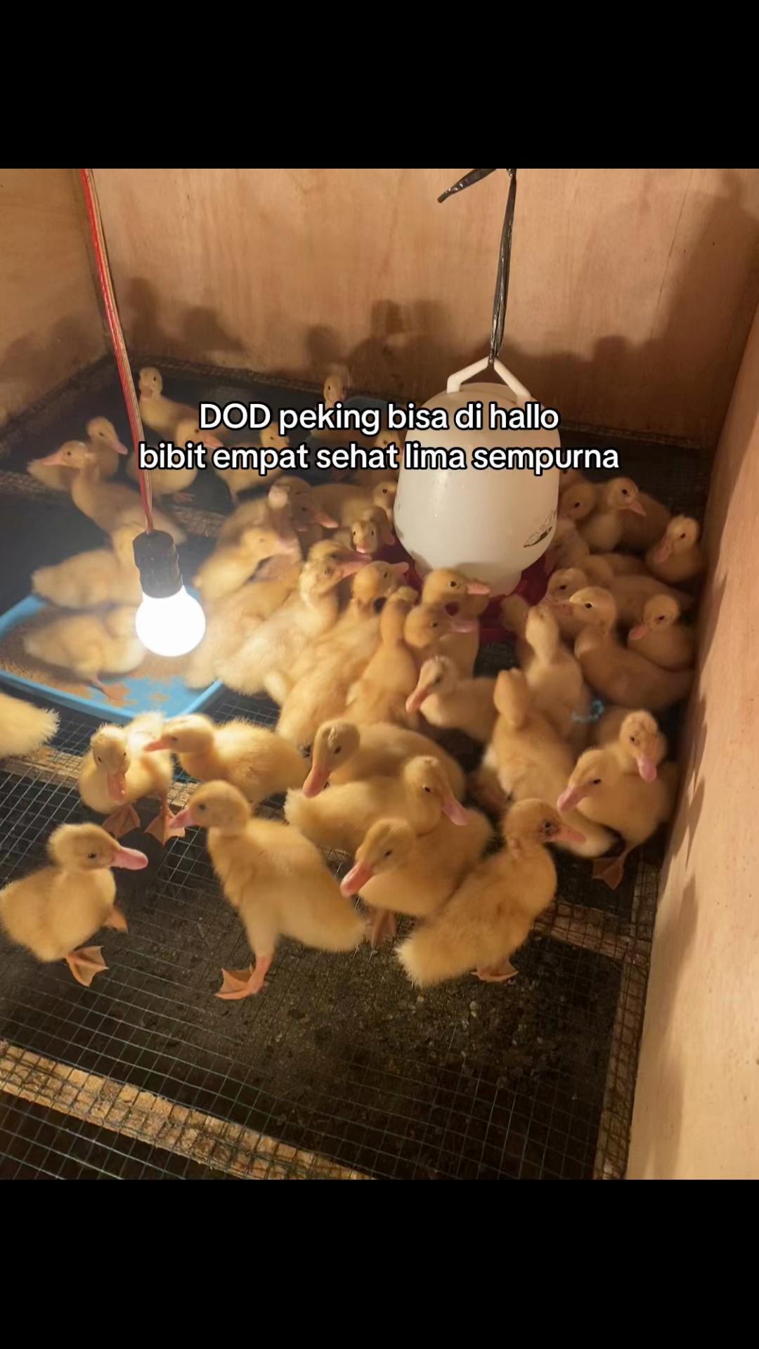 @Aprfarm