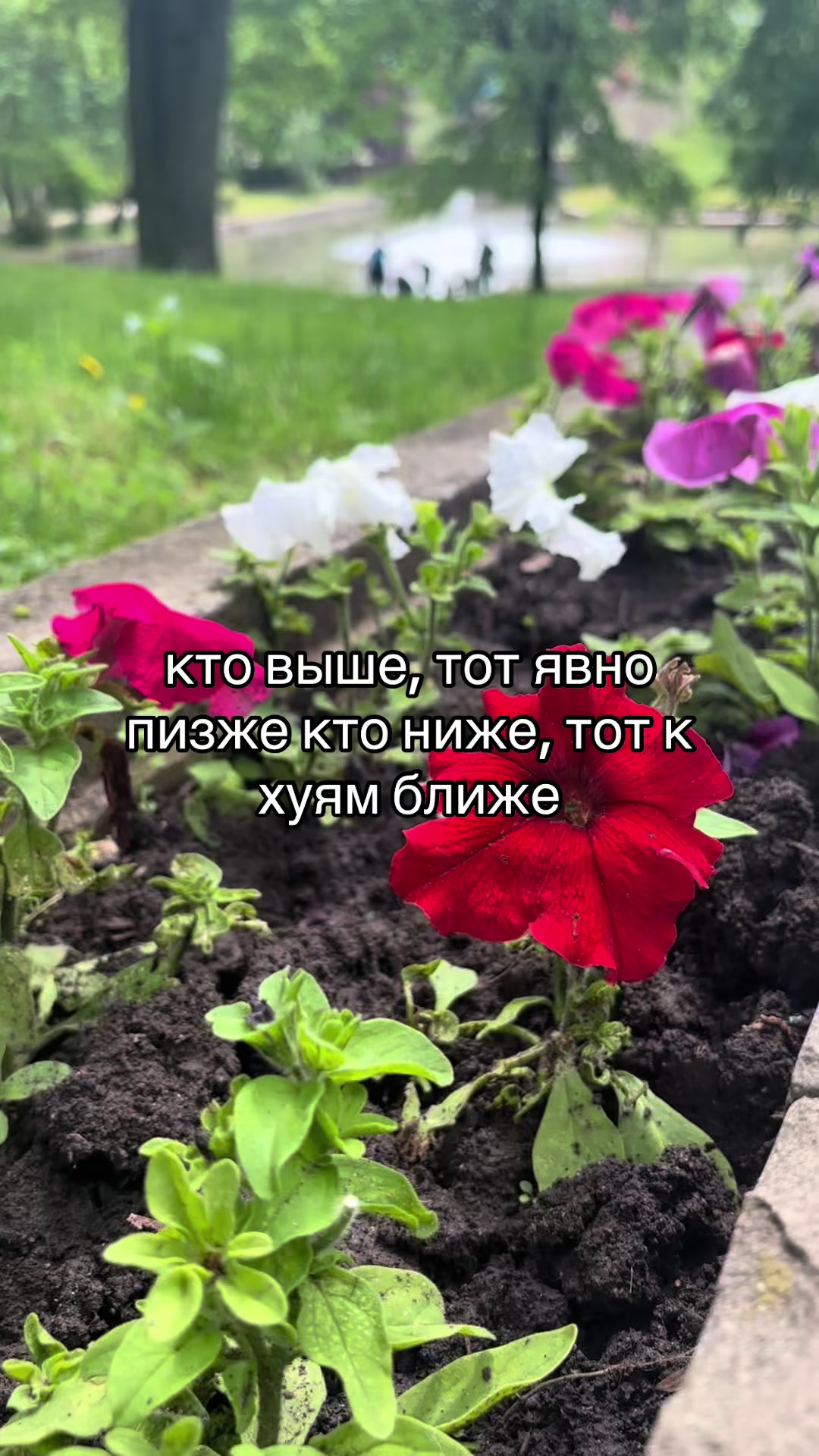 @KotLeopold193RUS