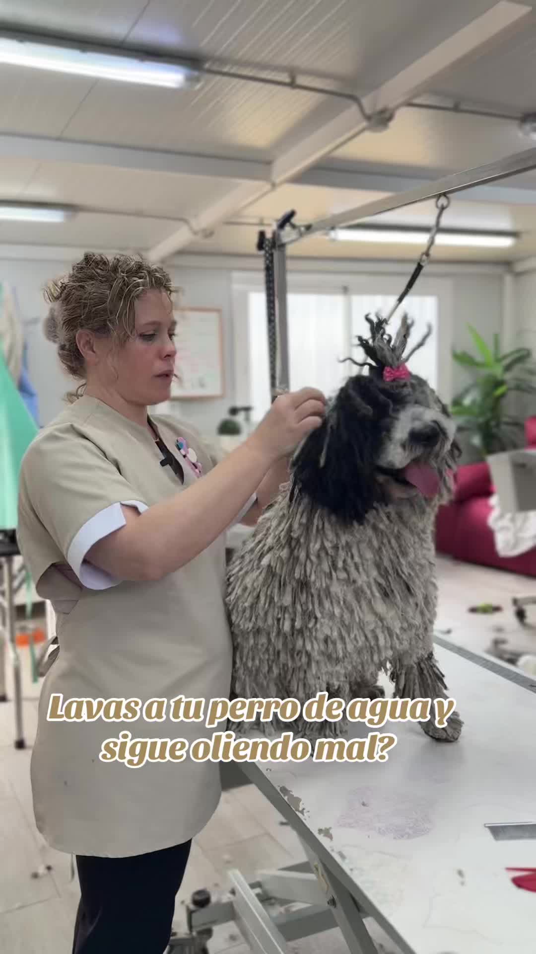 @Lidia L&oacute;pez