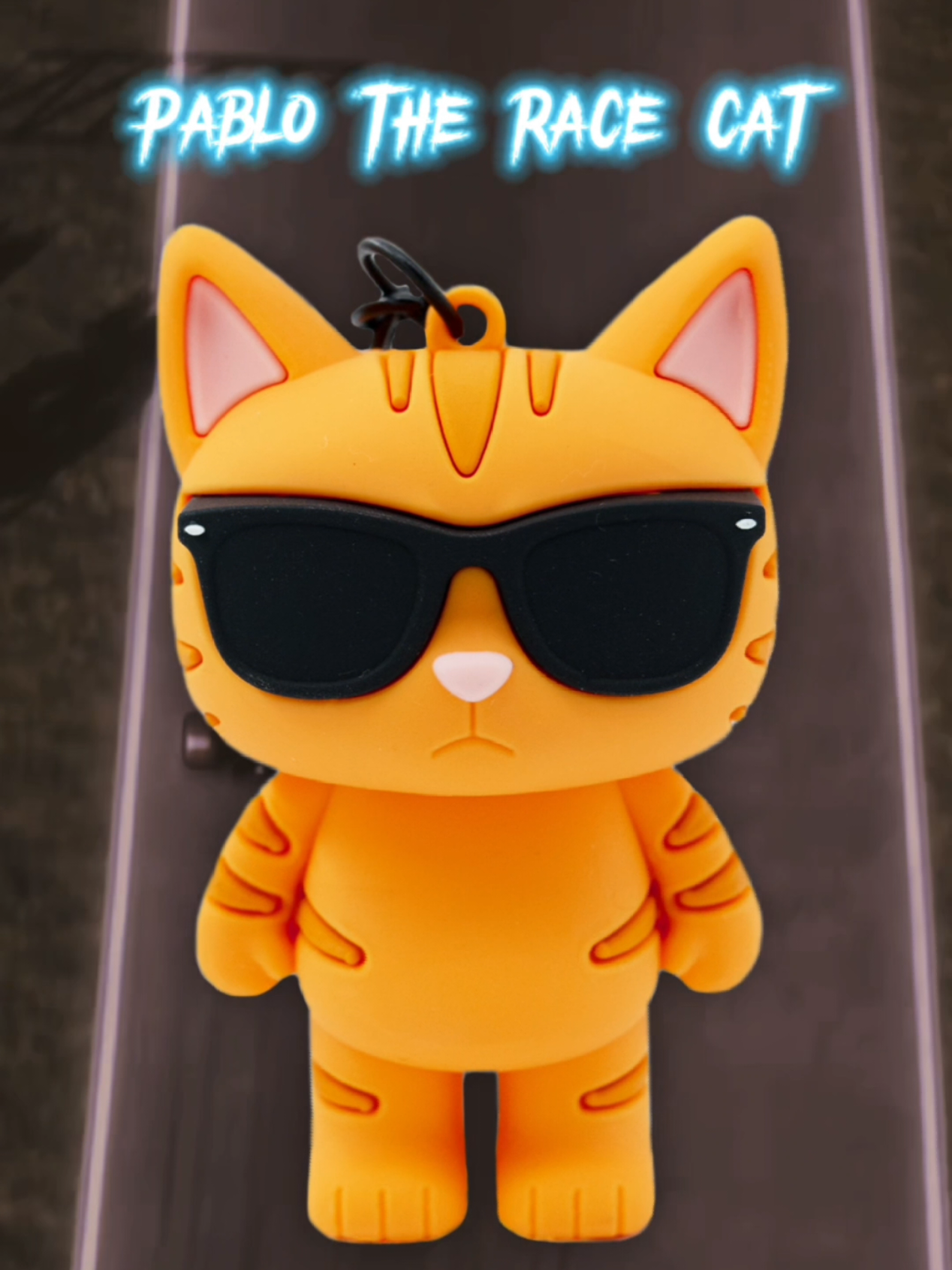 @Pablo the Race Cat