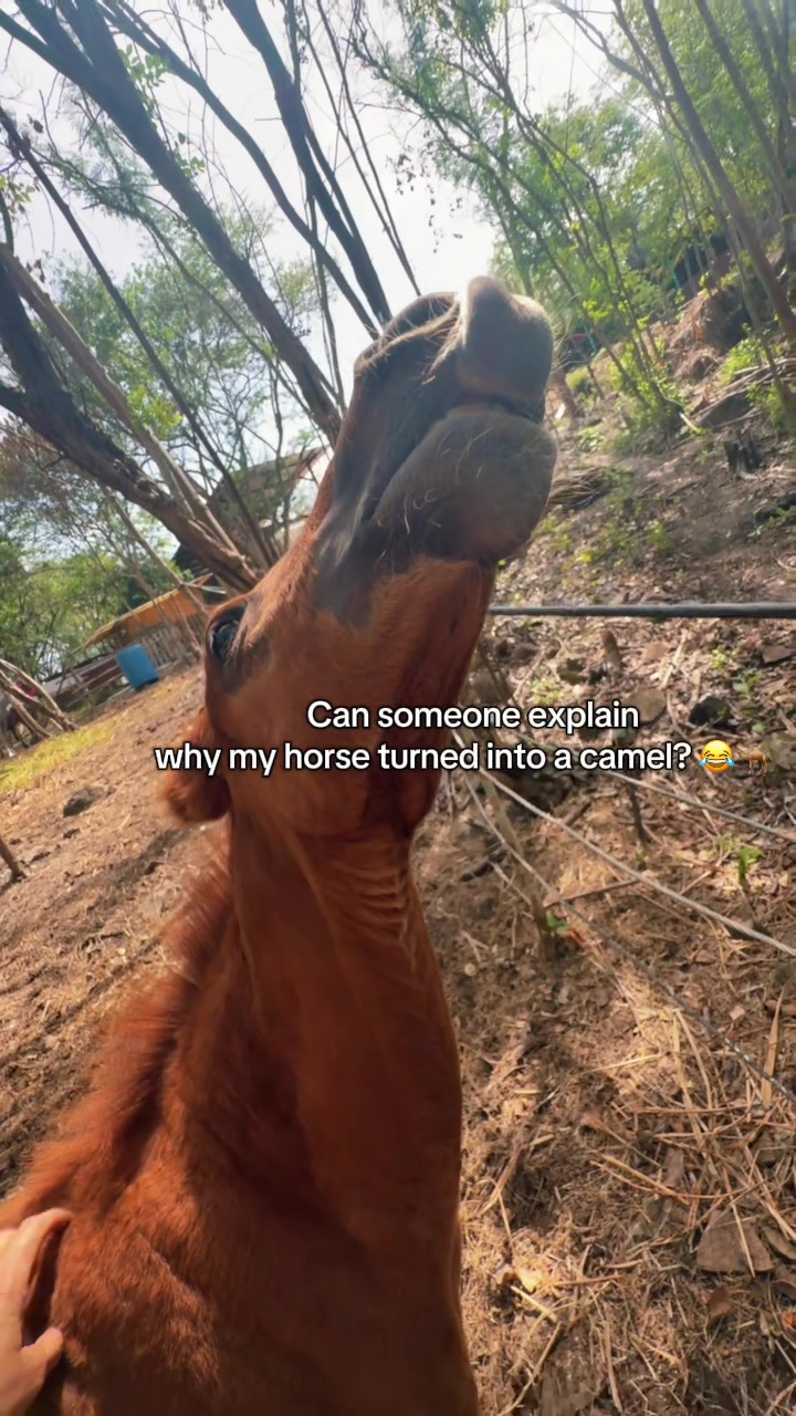 @roots_riding_stables