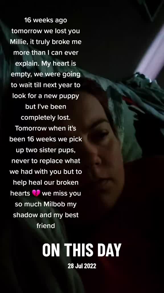 @Katie ✨️🐦⬛🌕