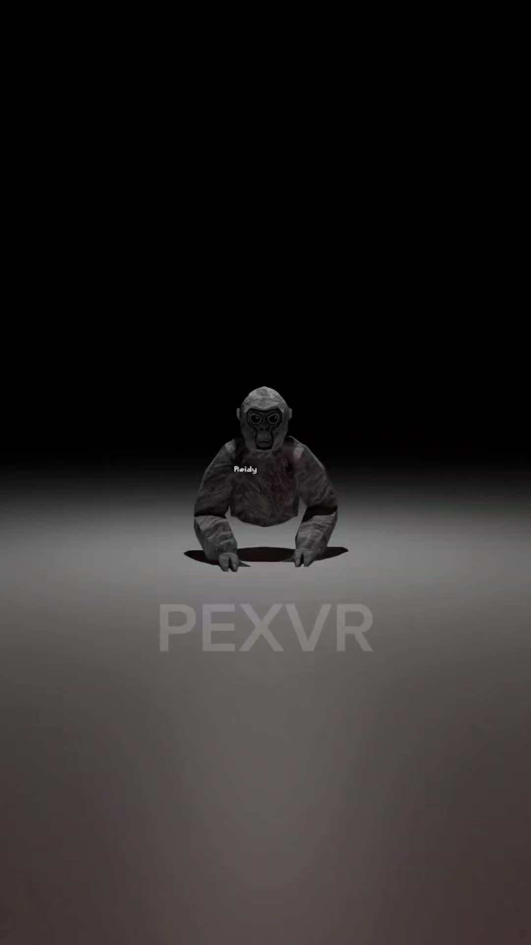 @PEX_VR