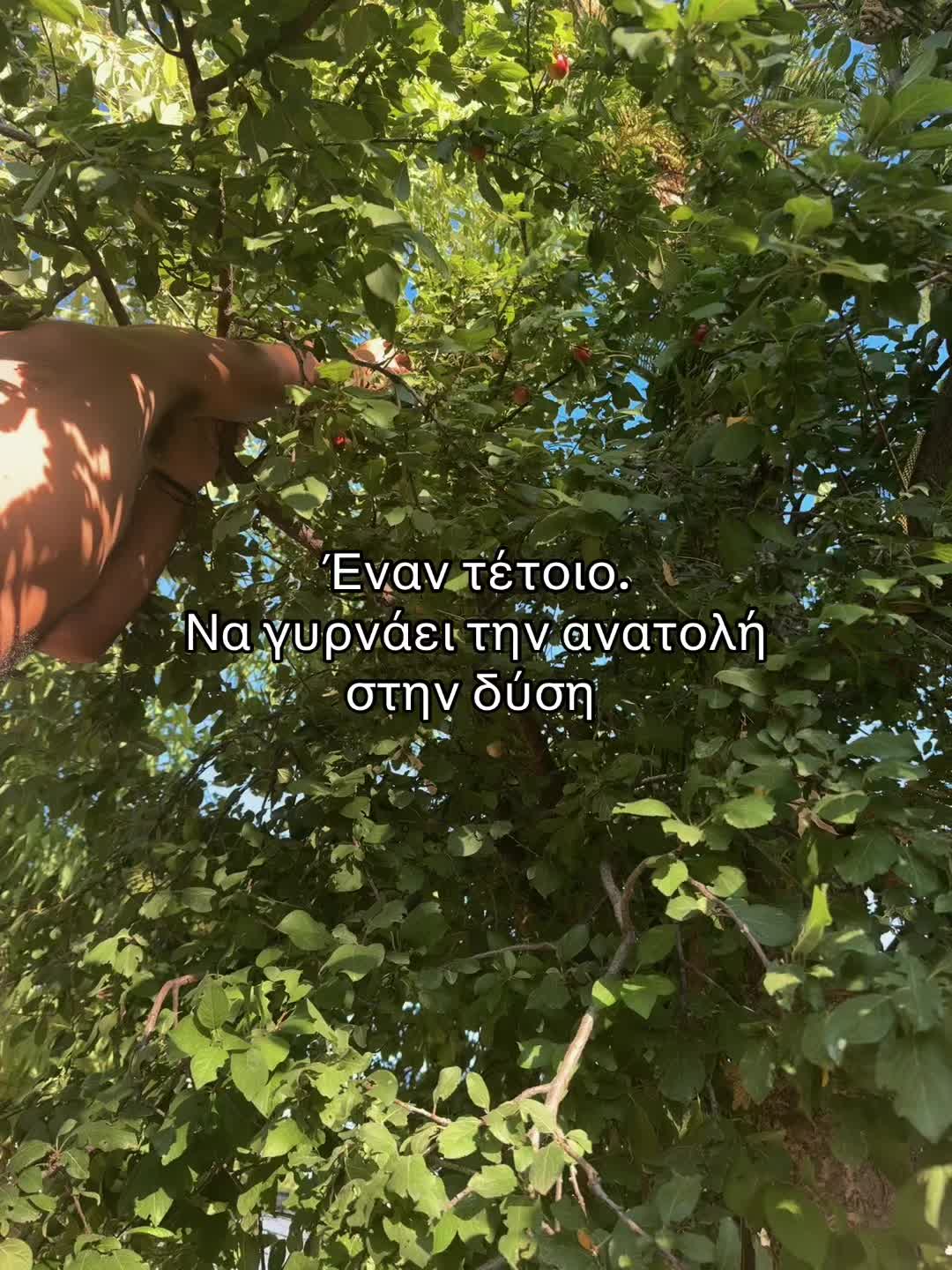 @Sveta Gkal