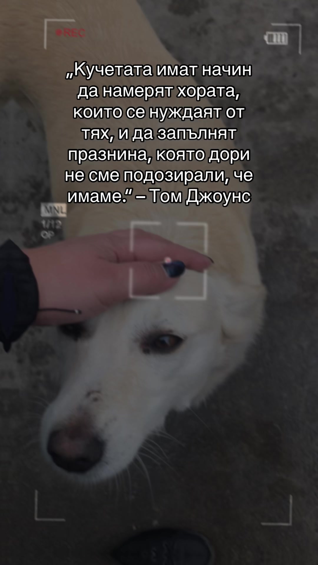 @Tania Dimitrova