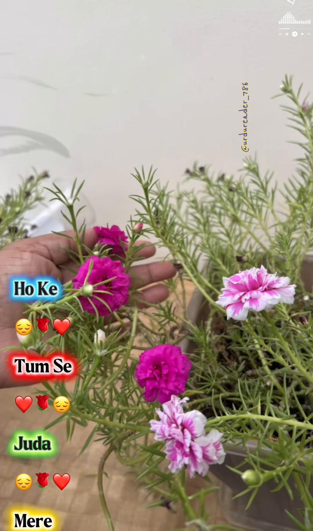 @urdureader_786