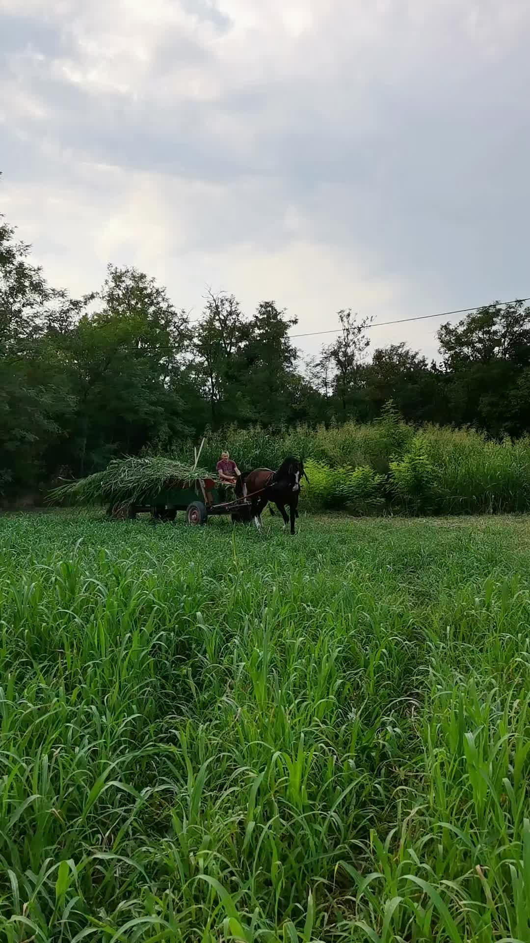 @Jady🐴