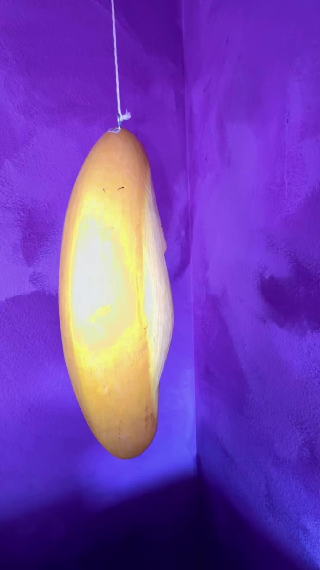 @CaptainNovacane