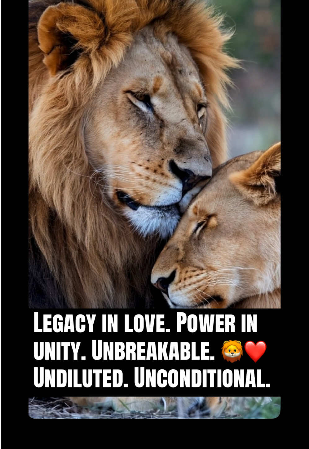 @KJ@LoveAnimalsEpicNature