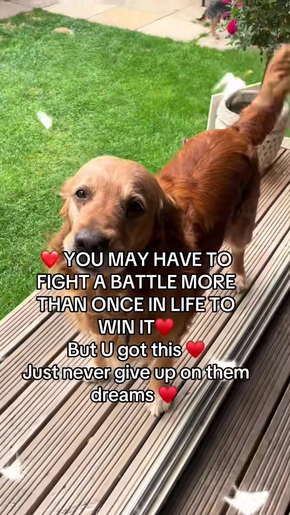 @Happy buddy