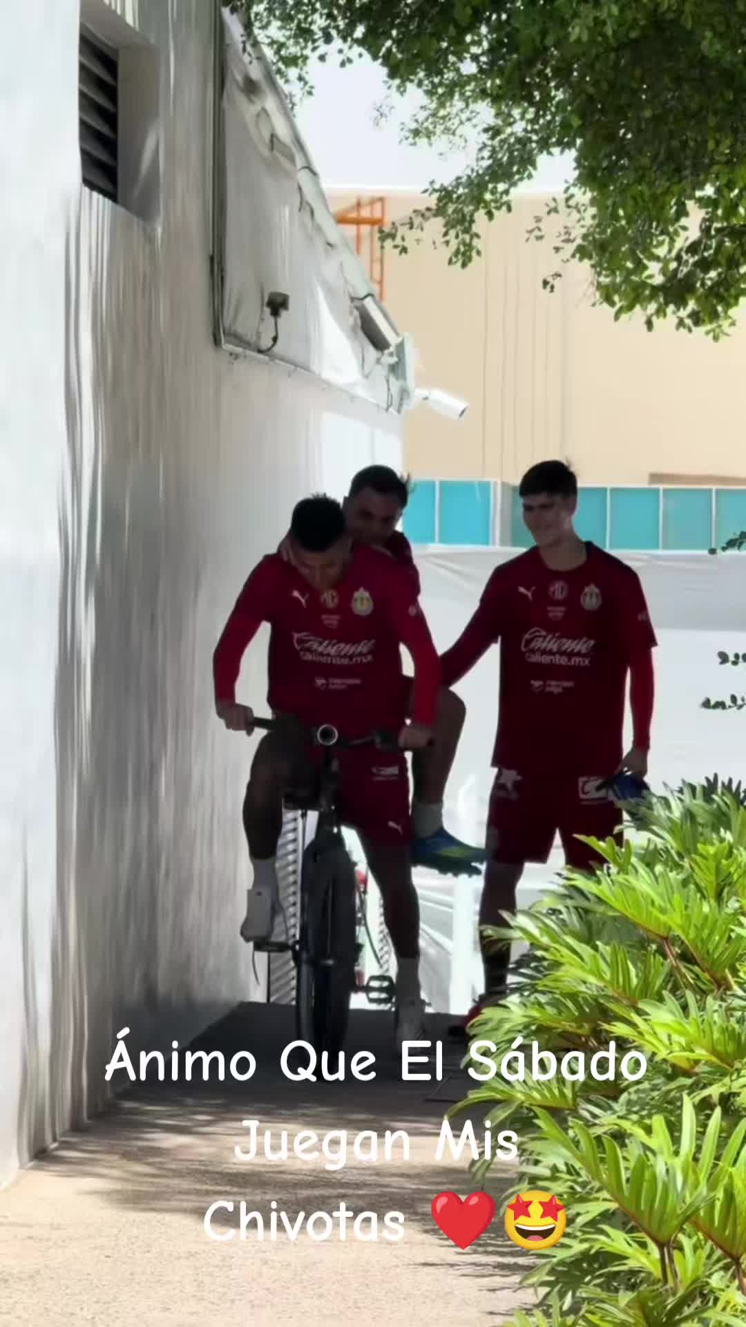 @Pedritooo007🐐❤️🇲🇽