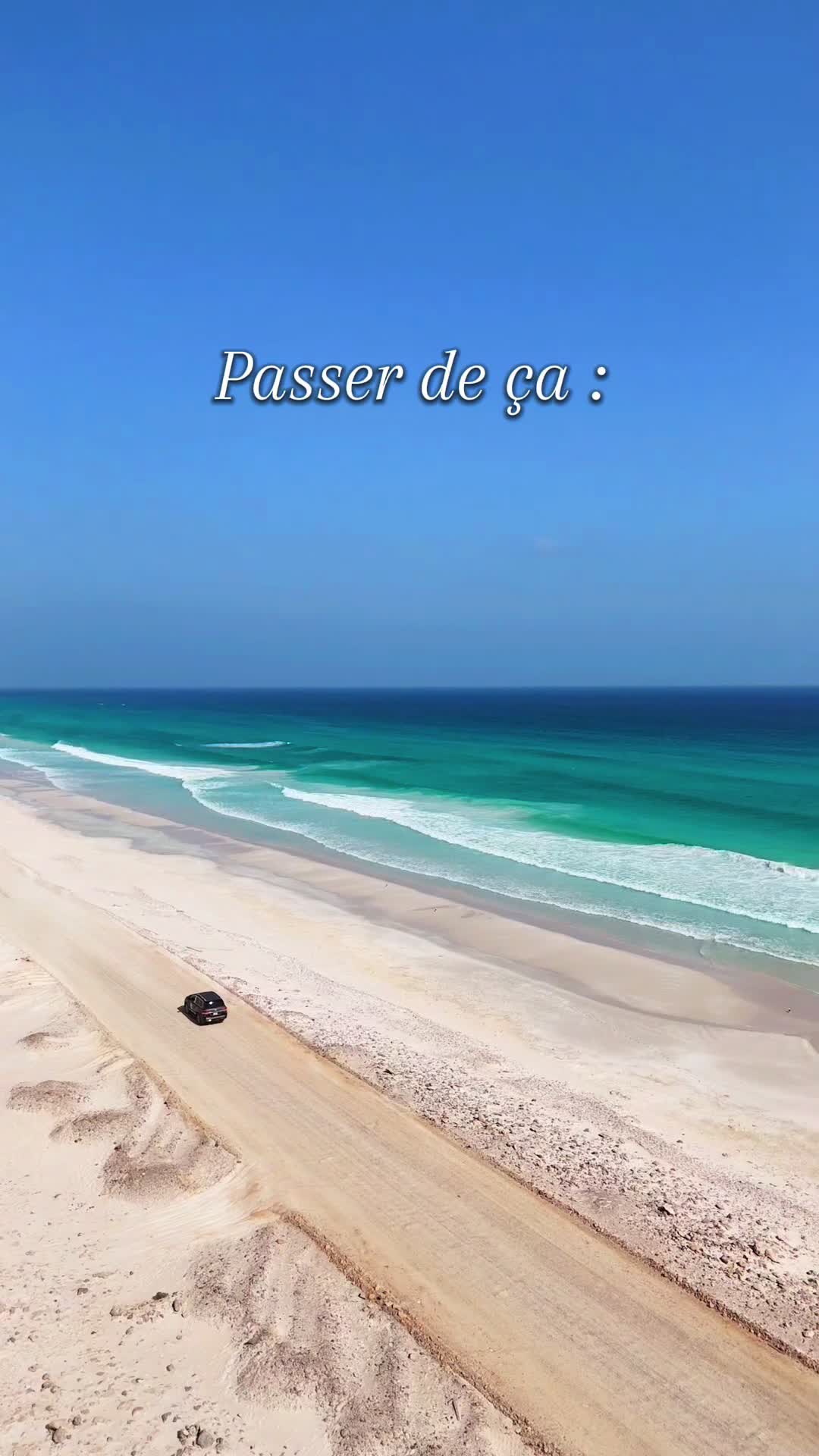 @Une Dz en vadrouille 🌺