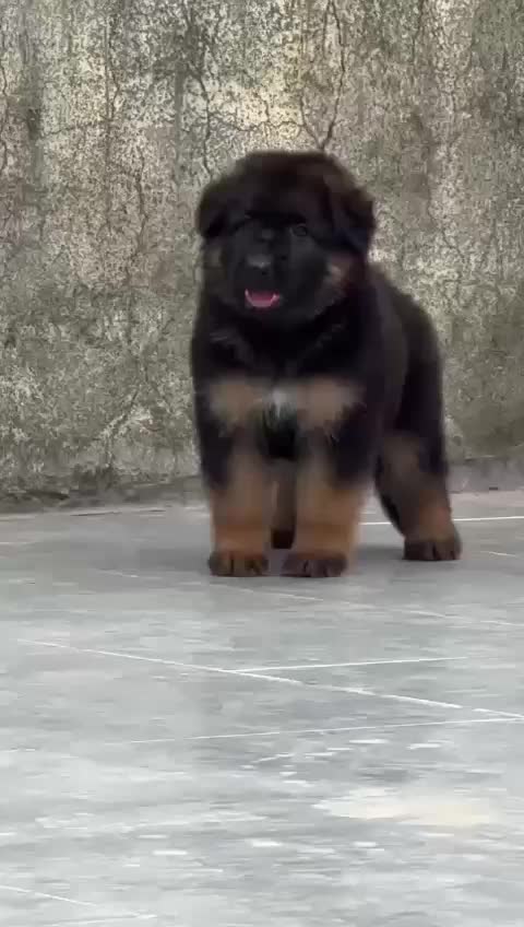 @Dr.virdisarpanch999