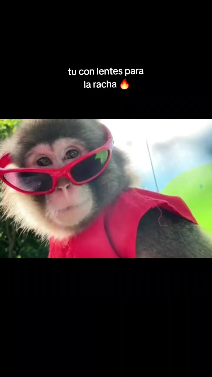 @RabPesito 🔥