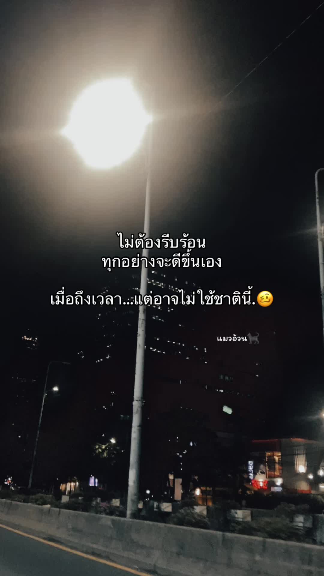 @แมวอ้วน🐈⬛