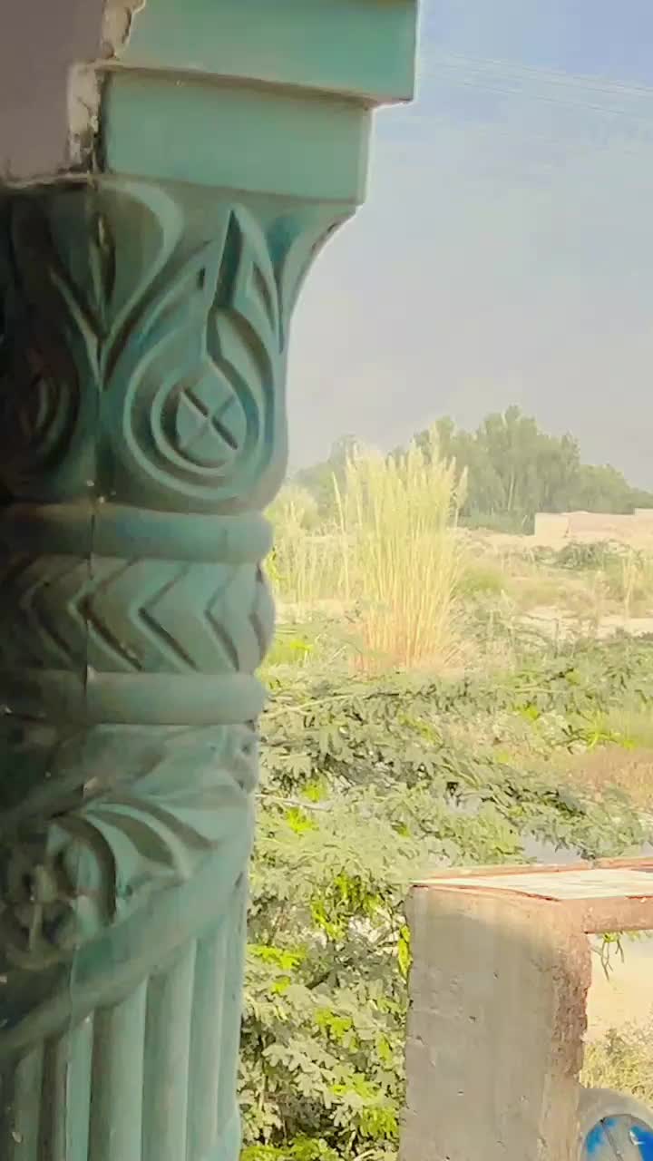 @Aryan Abbas24