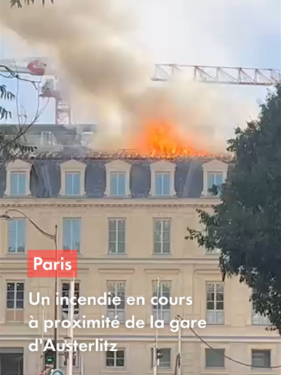 @CNEWS