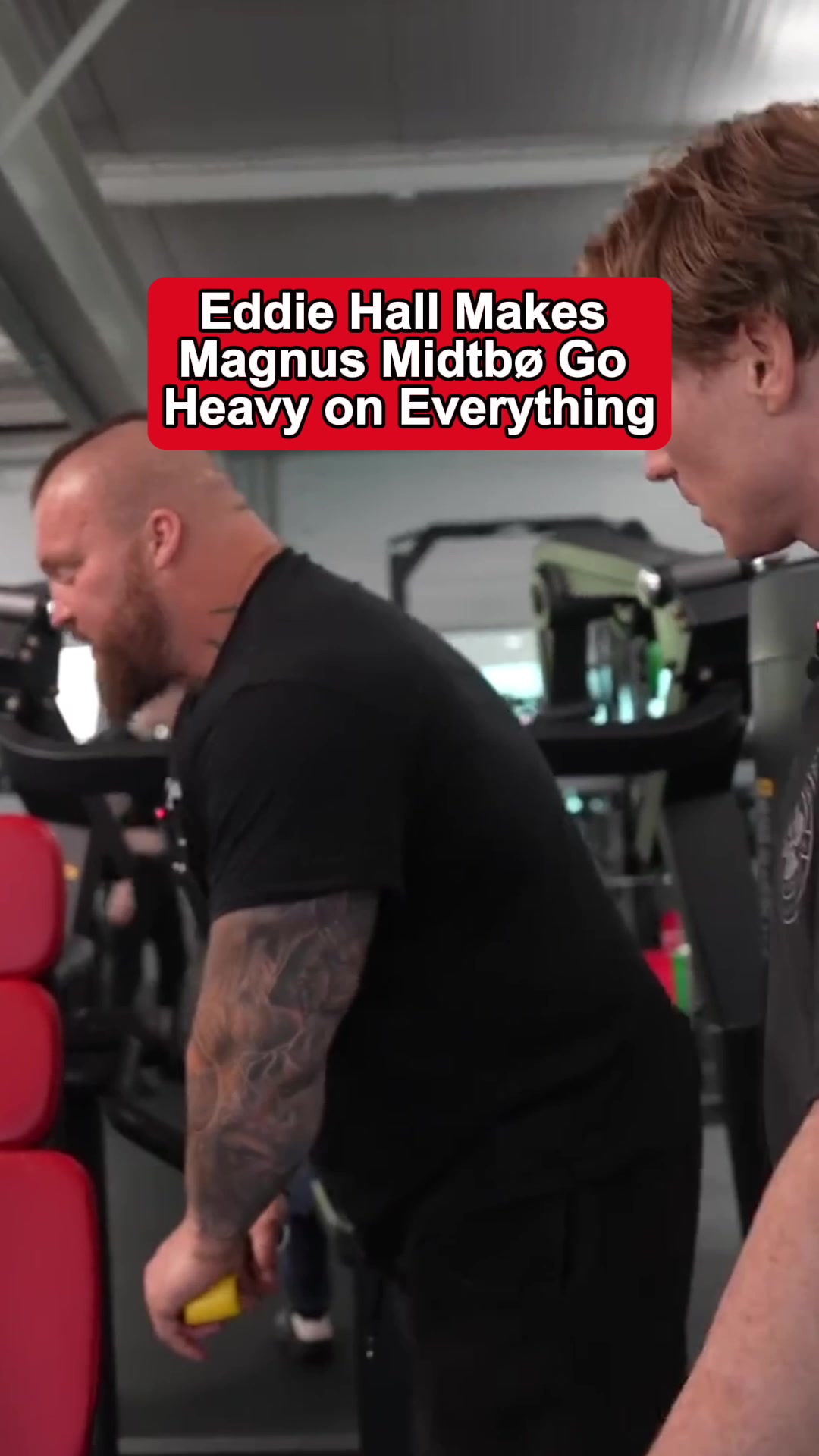 @Eddie Hall - The Beast
