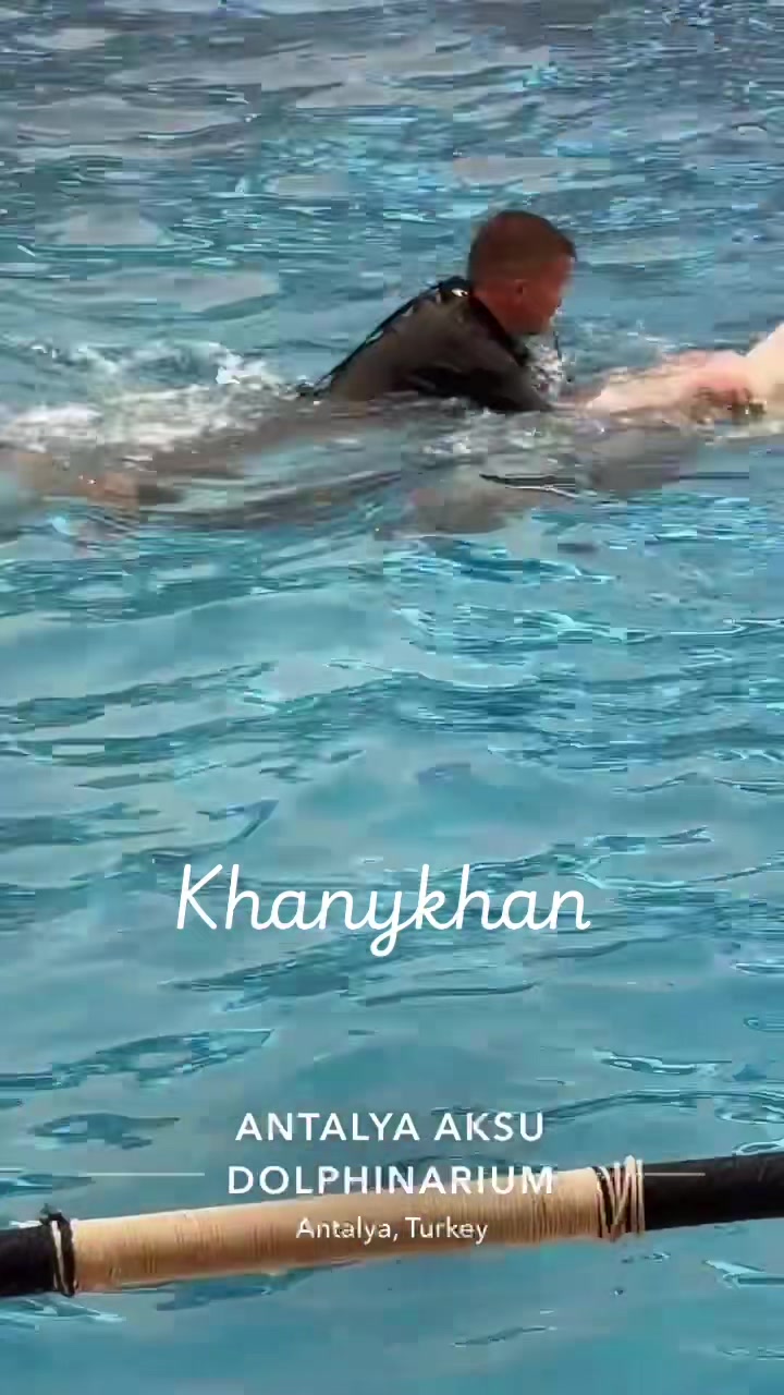 @❤️❤️خاني خان❤️❤️