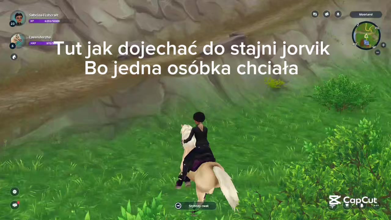 @๐พ๐๐๐๐๐๐๐๐_๐๐๐