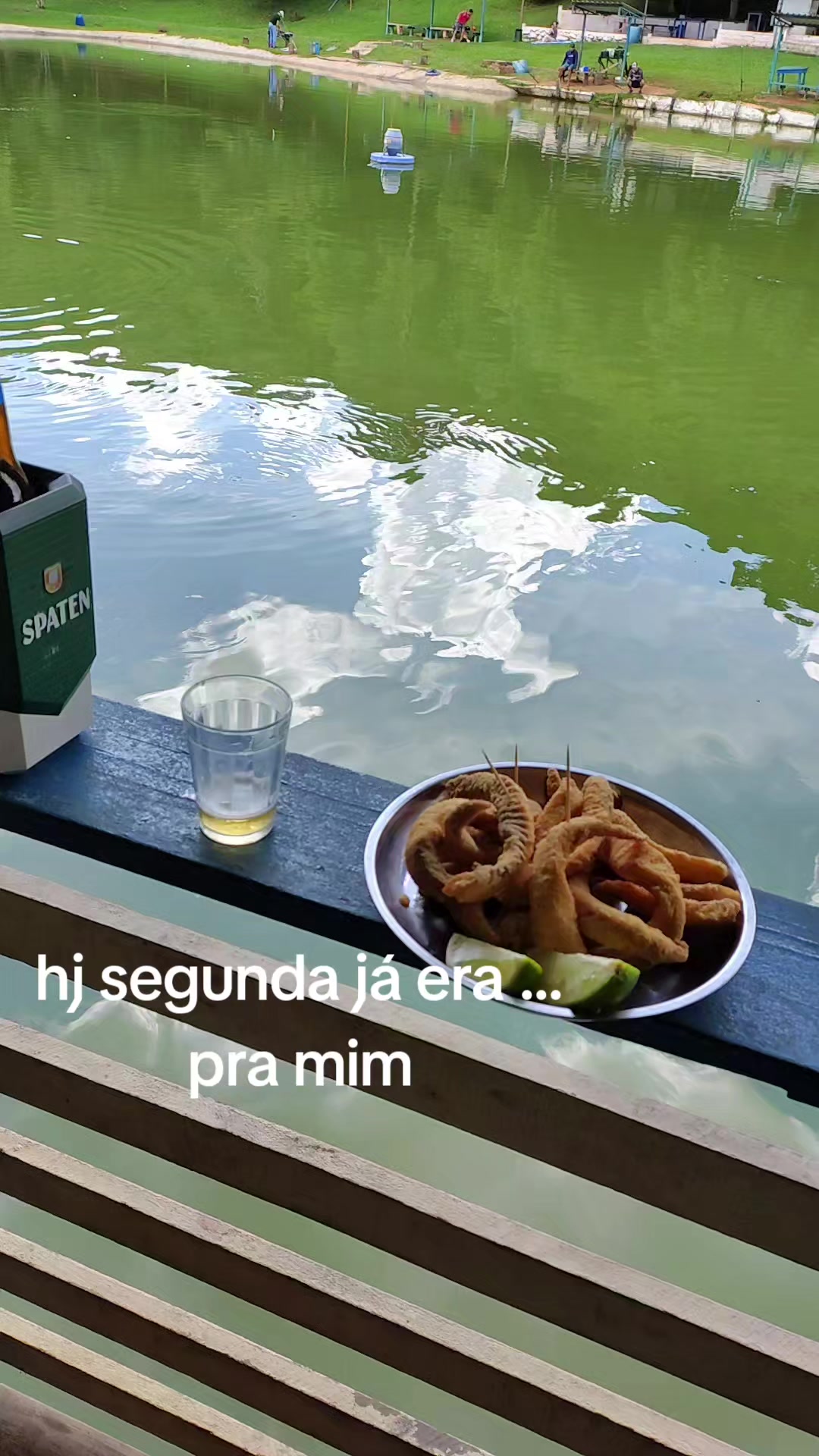 @talrecofka