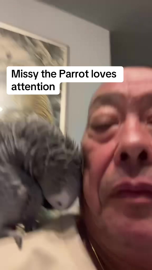 @Norman and Missy the Parrot