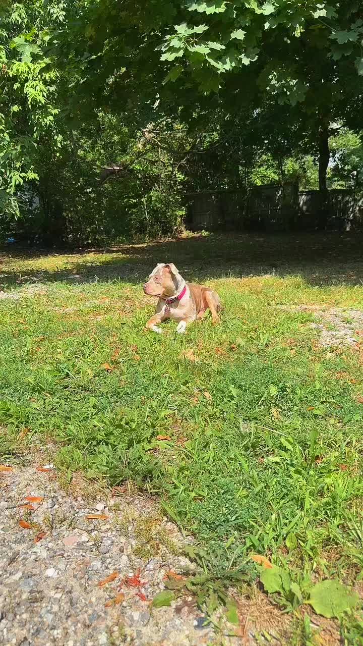 @Skrt Cobain🖤