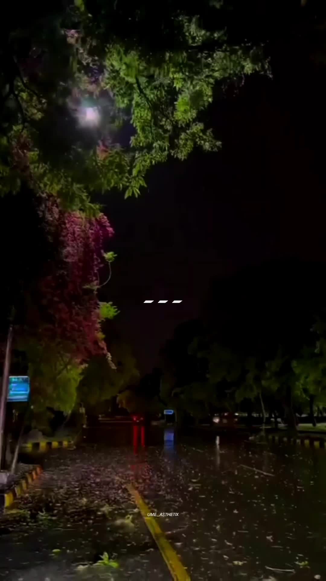 @𝙐 𝙈 𝙀🍁&bull;