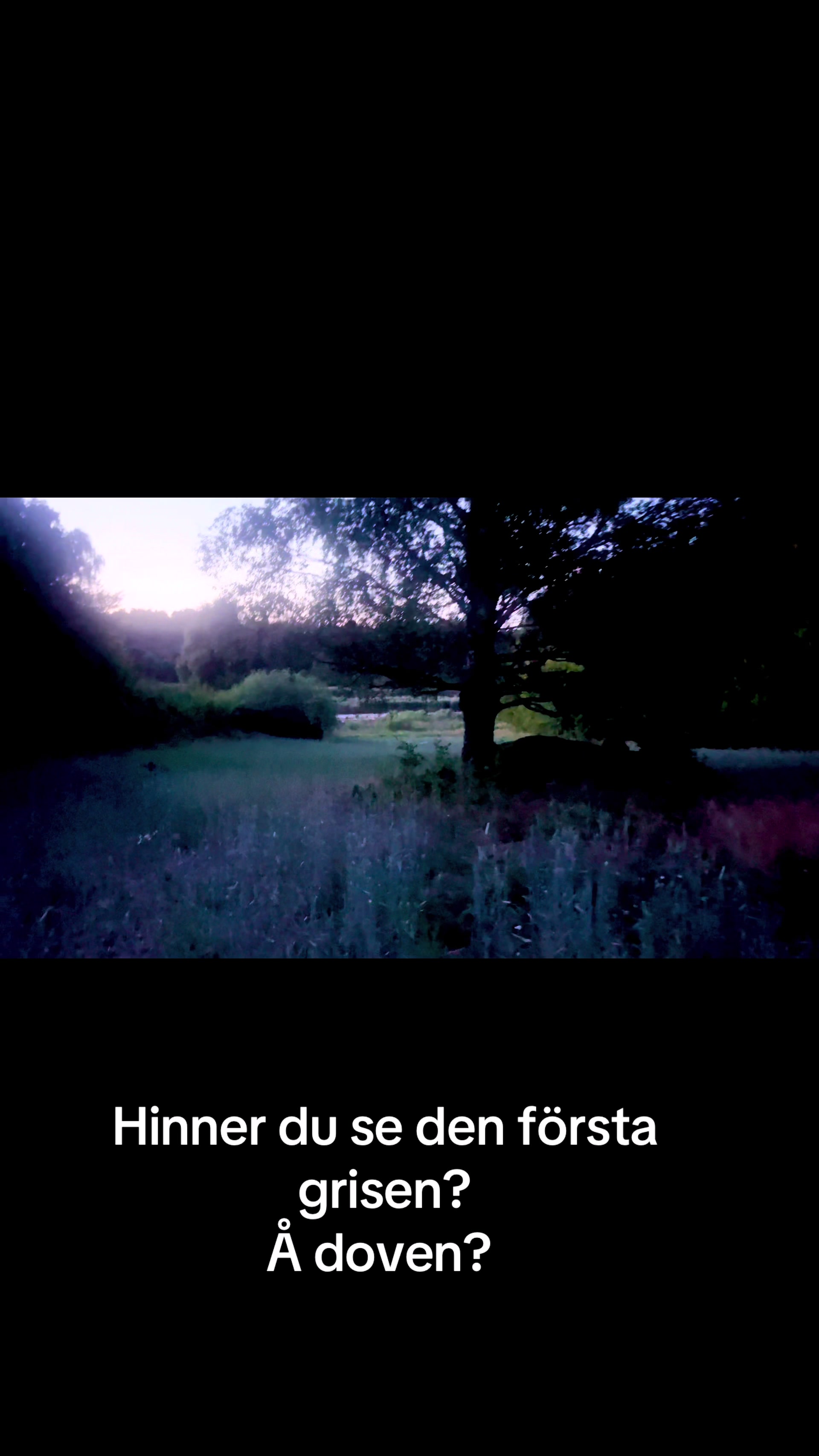 @Swevest.se