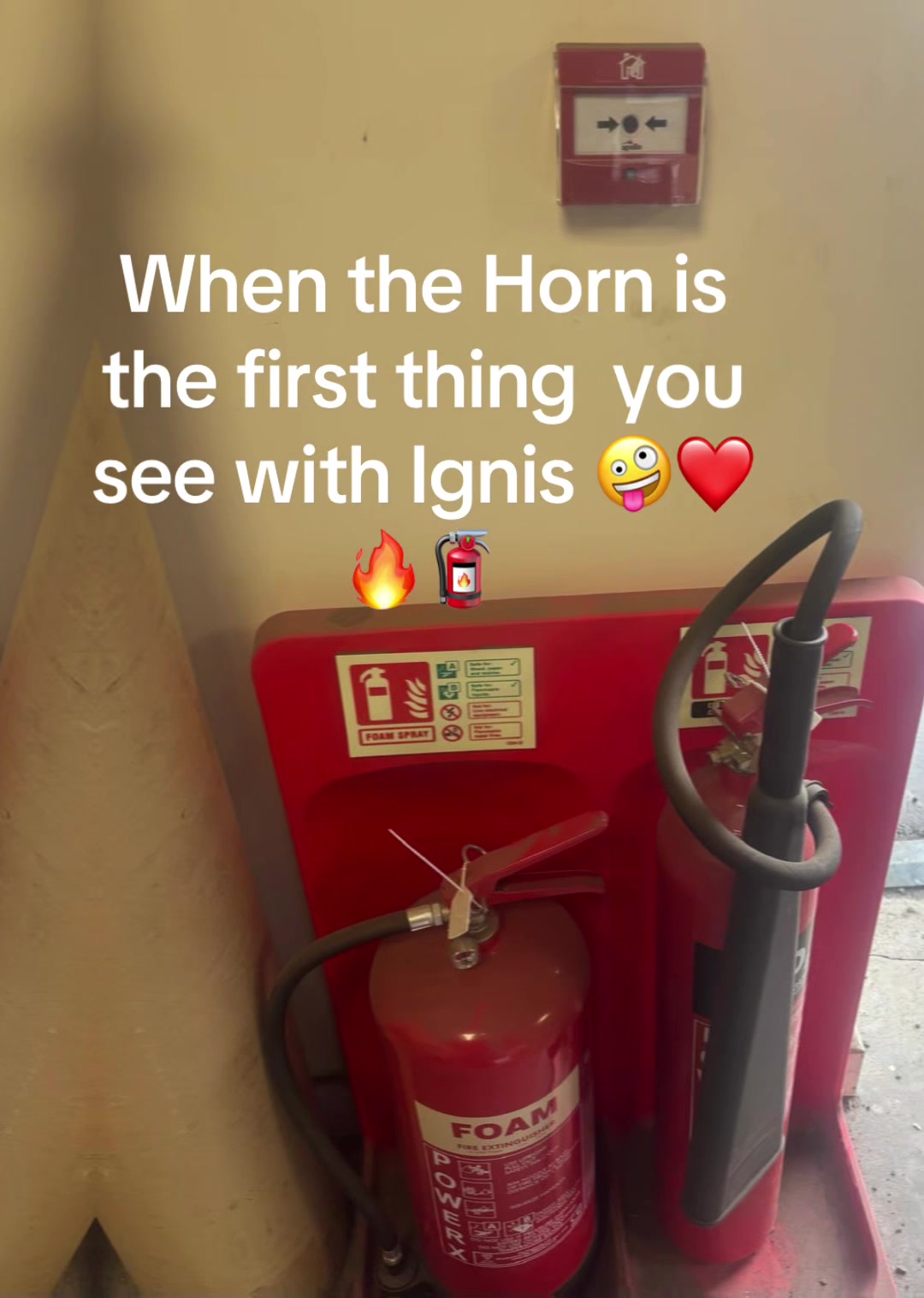 @ignis4156