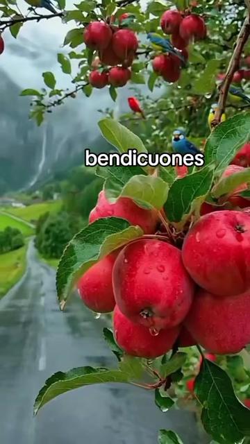@promoción TJT Europa 🎶