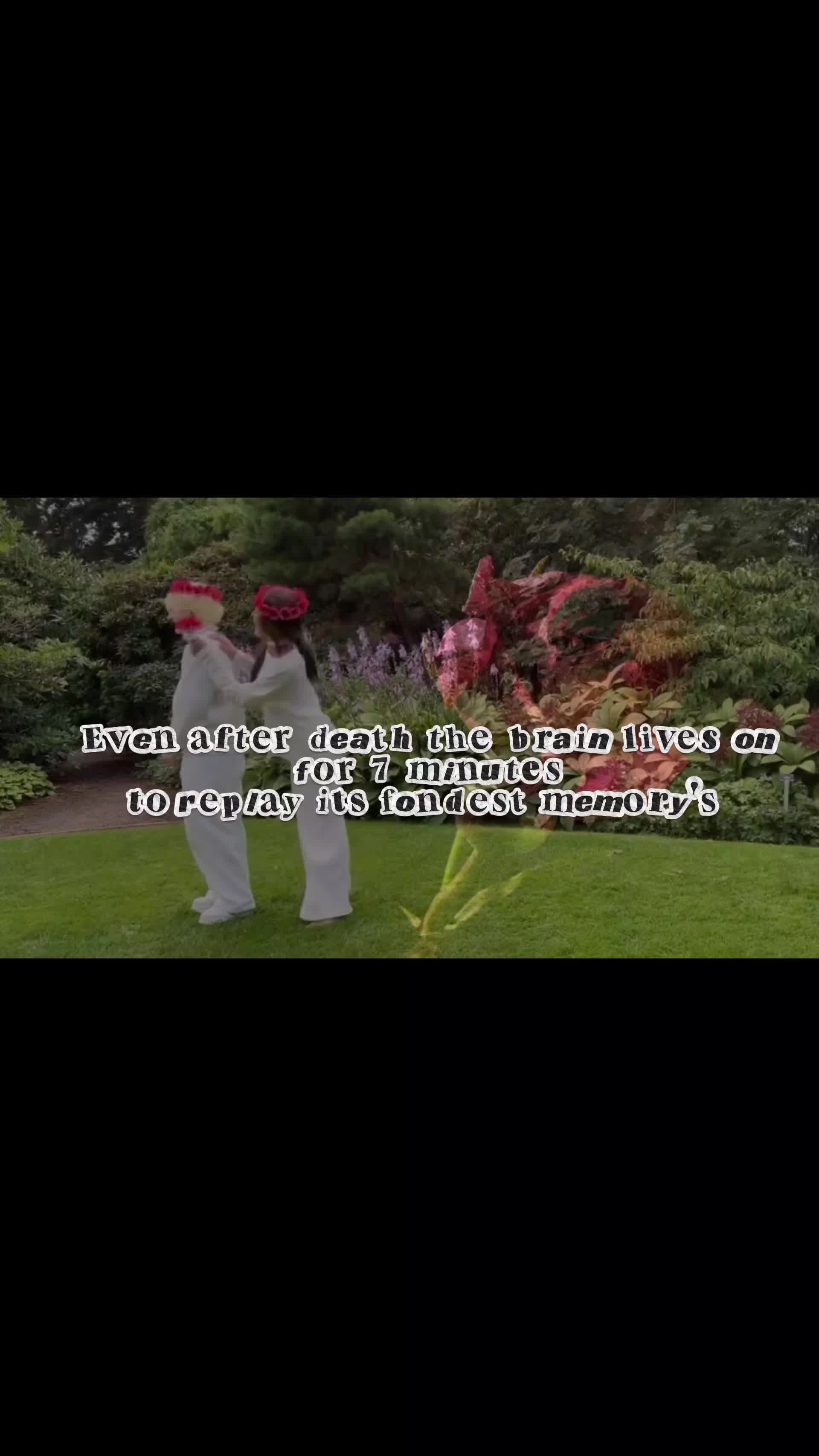 @Zero