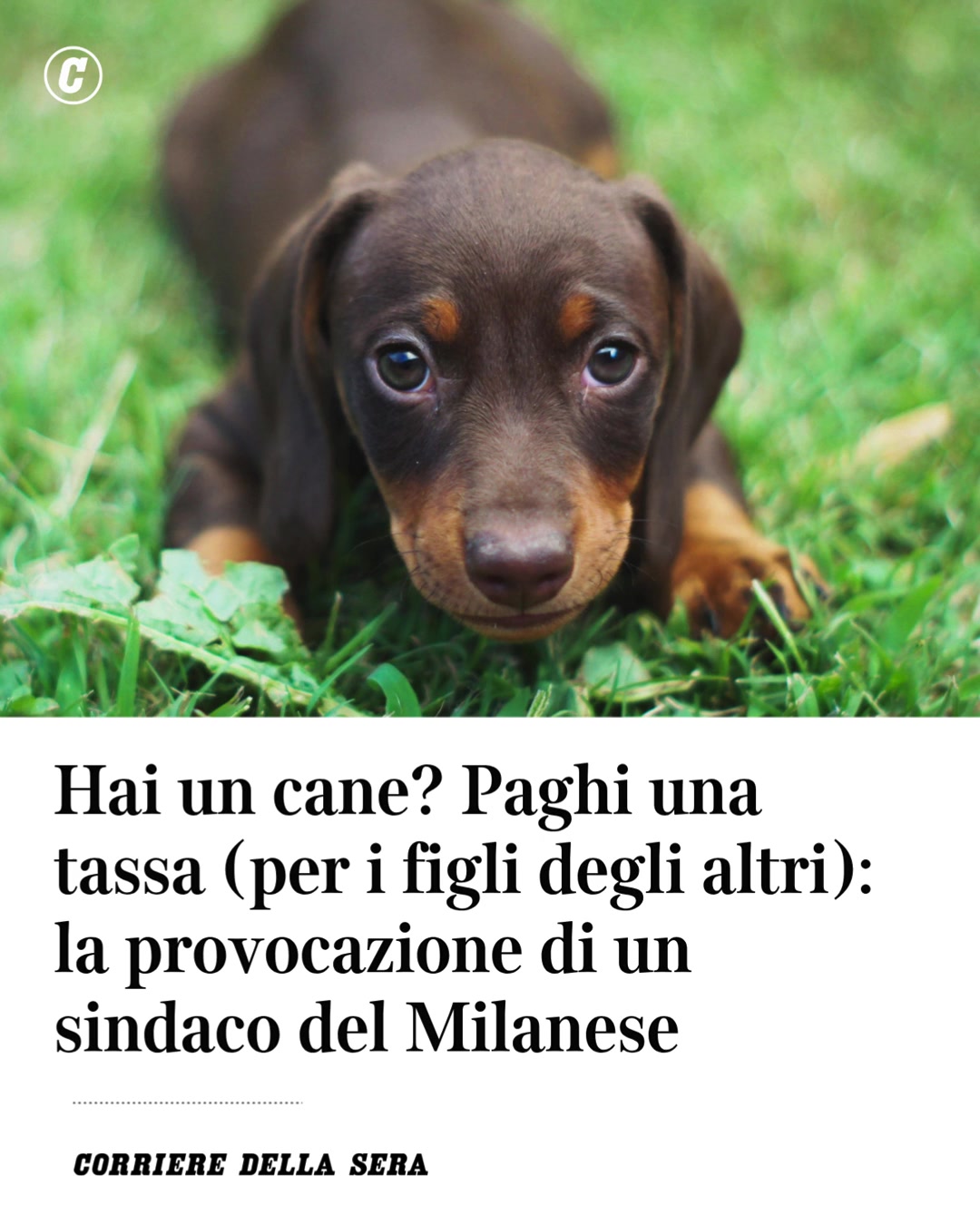@Corriere della Sera