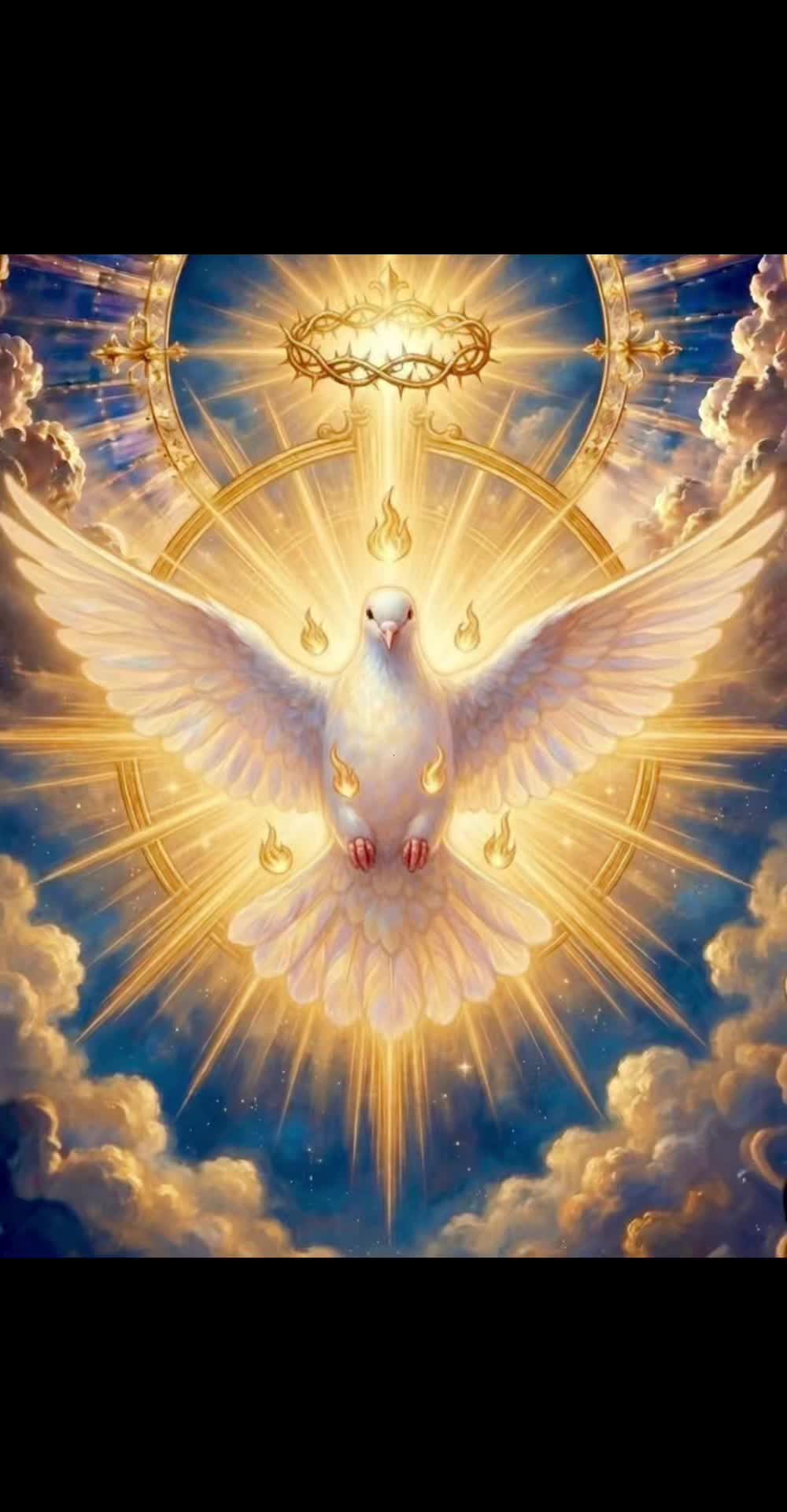 @Lilis Rodriguez G 🌸🕊️