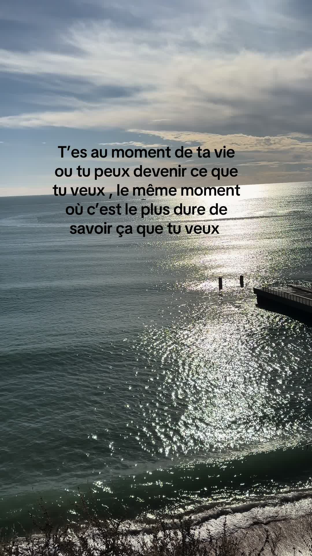 @Cat