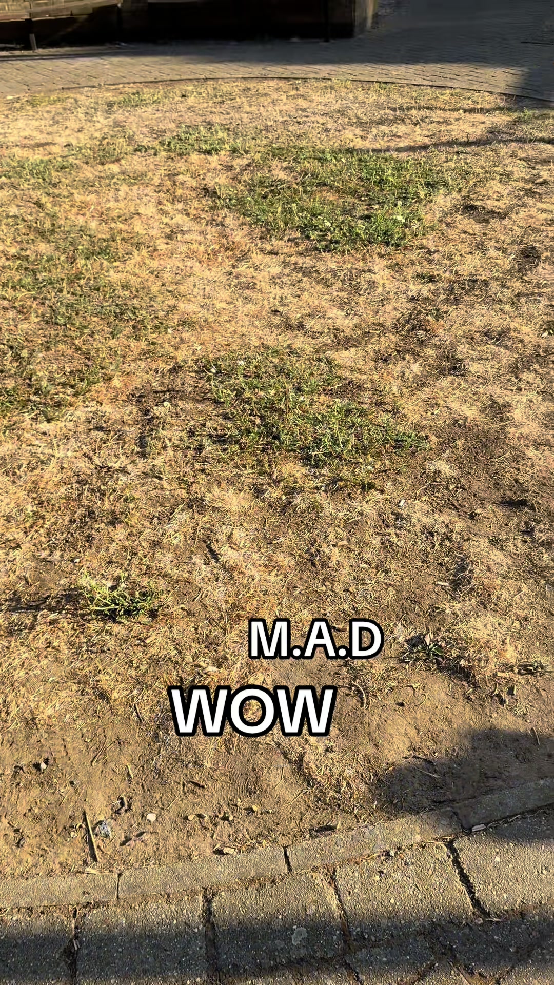 @madnmgnews