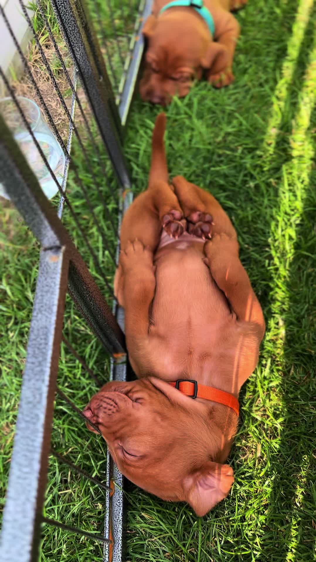 @𝐋𝐮𝐧𝐚
