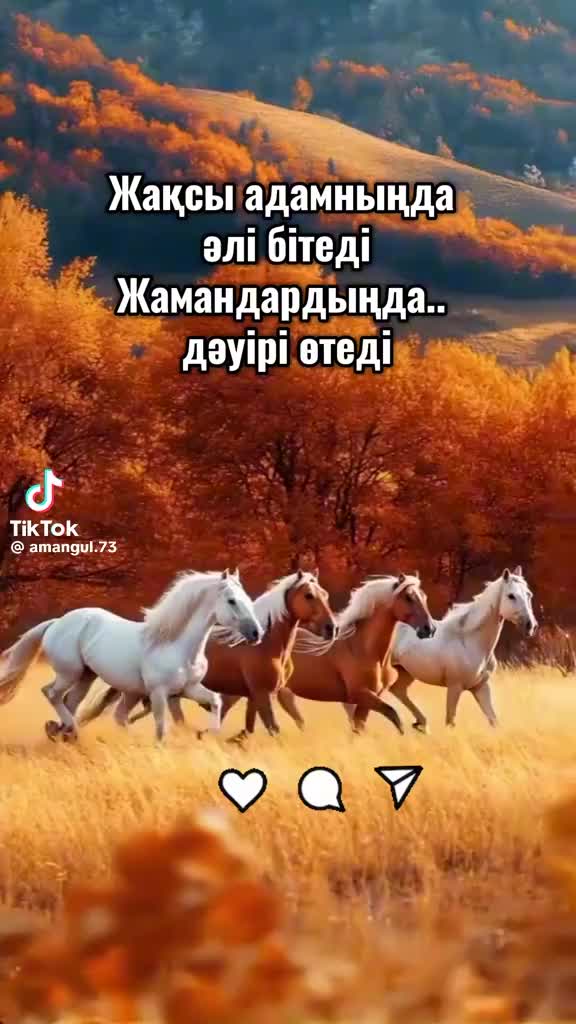@kalifa_