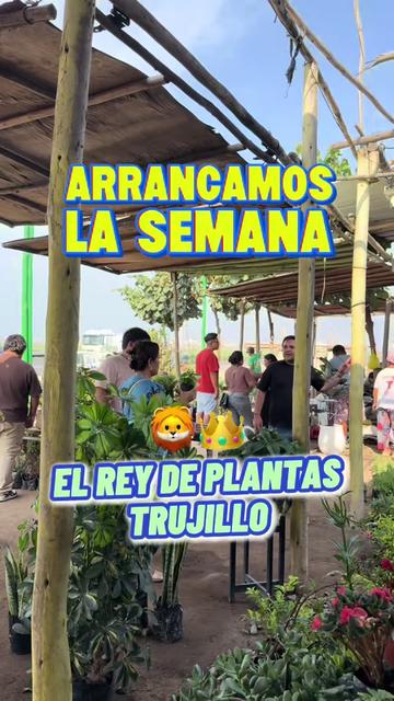 @VIVERO LAS G🦁RDENIAS|TRUJILLO