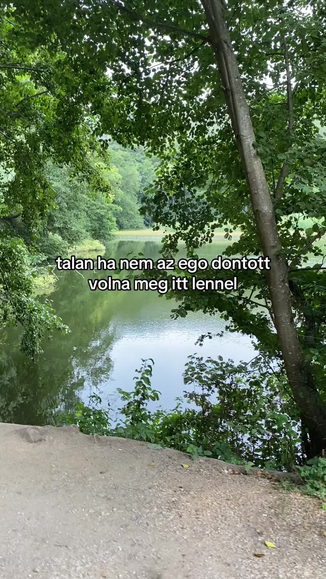 @zolidinnyes