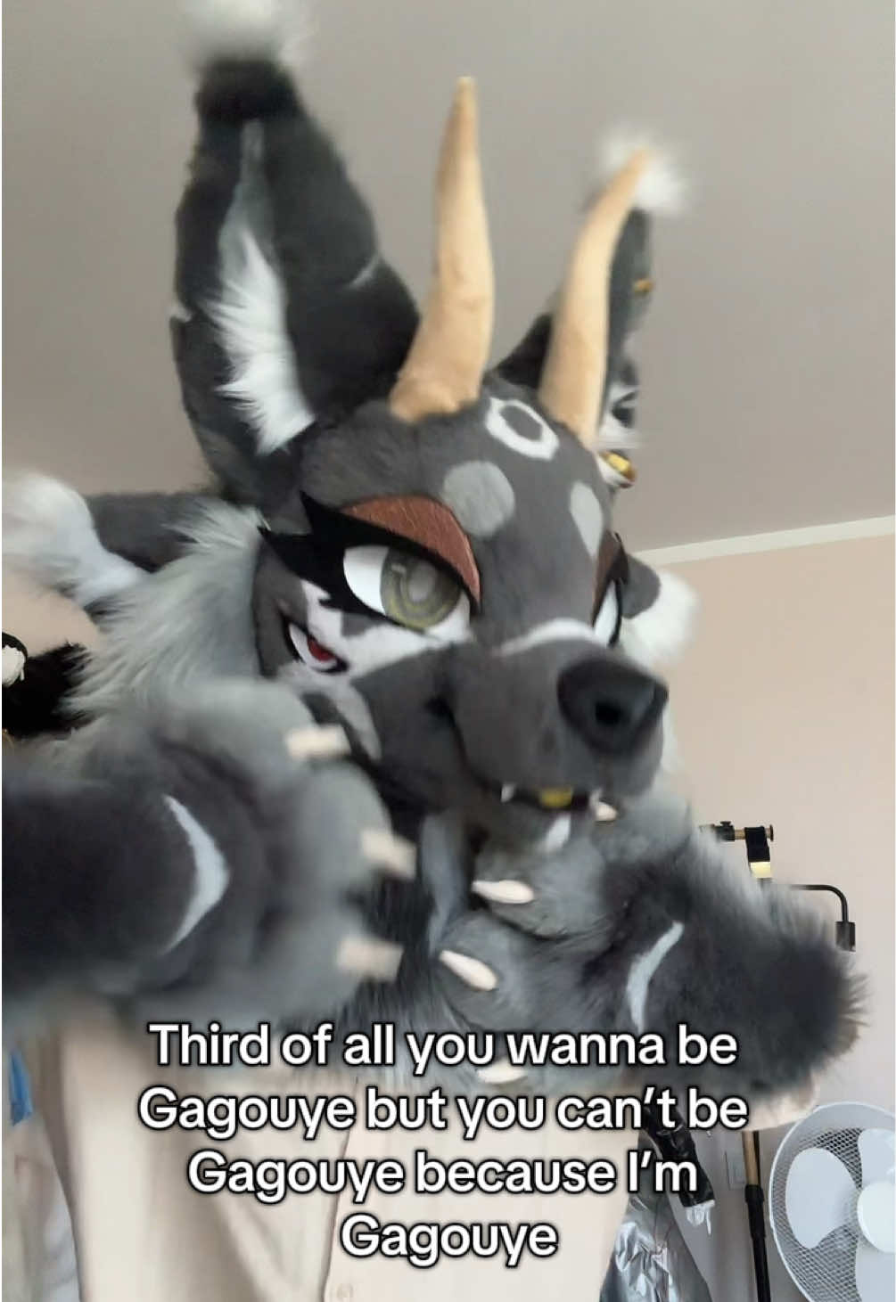@Gagouye