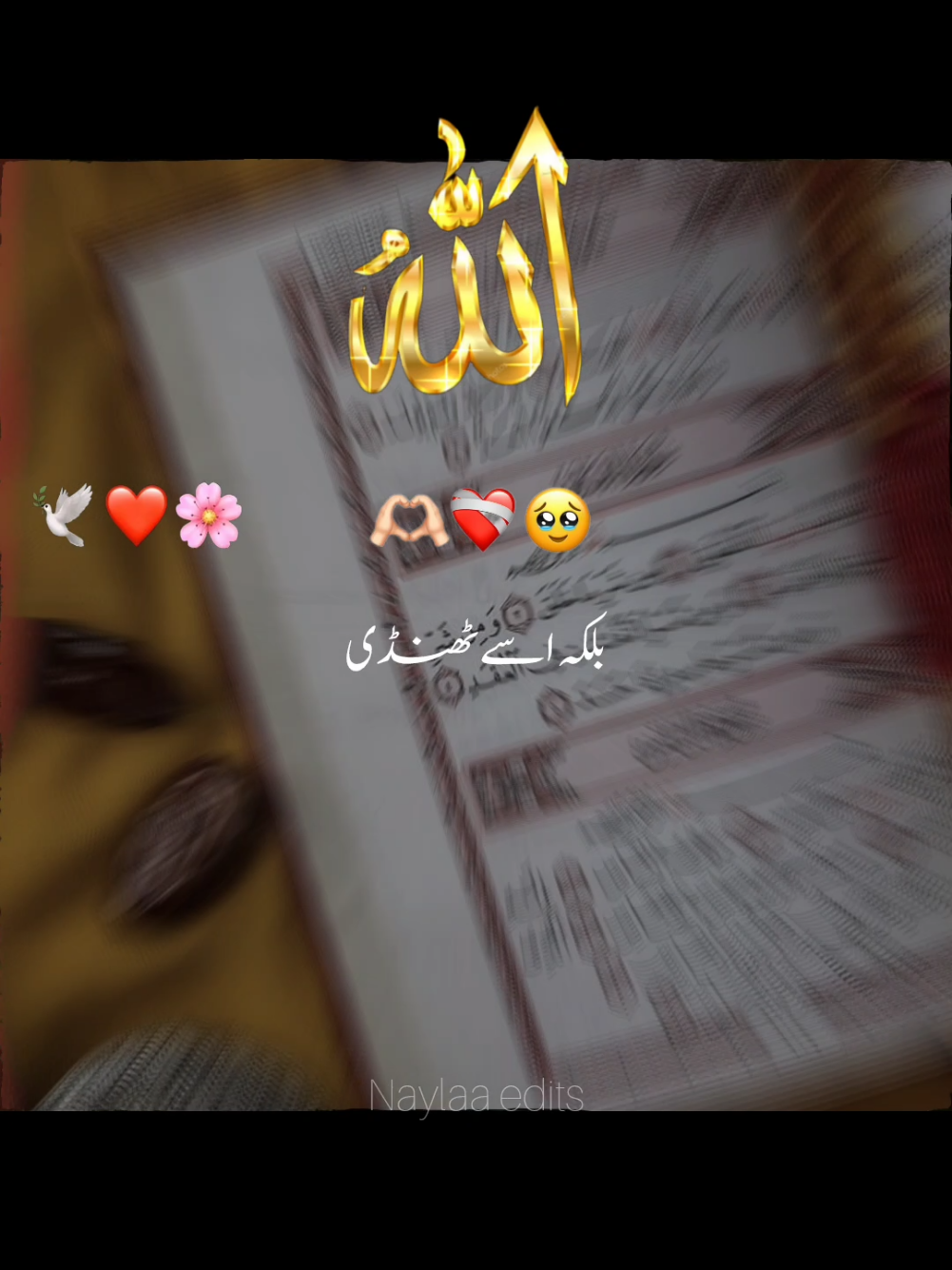 @Nylaa edits