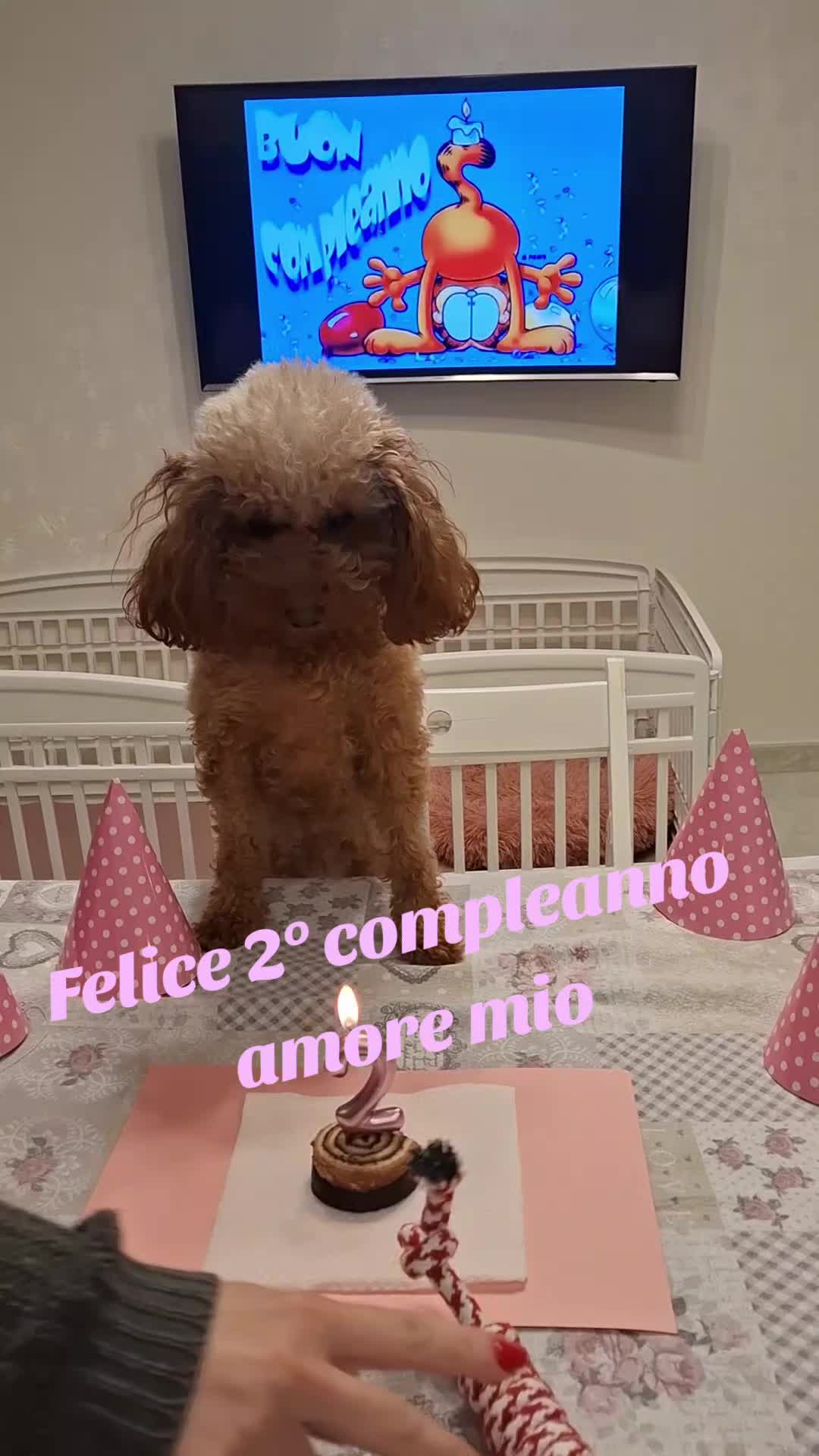 @MenaPalmieri