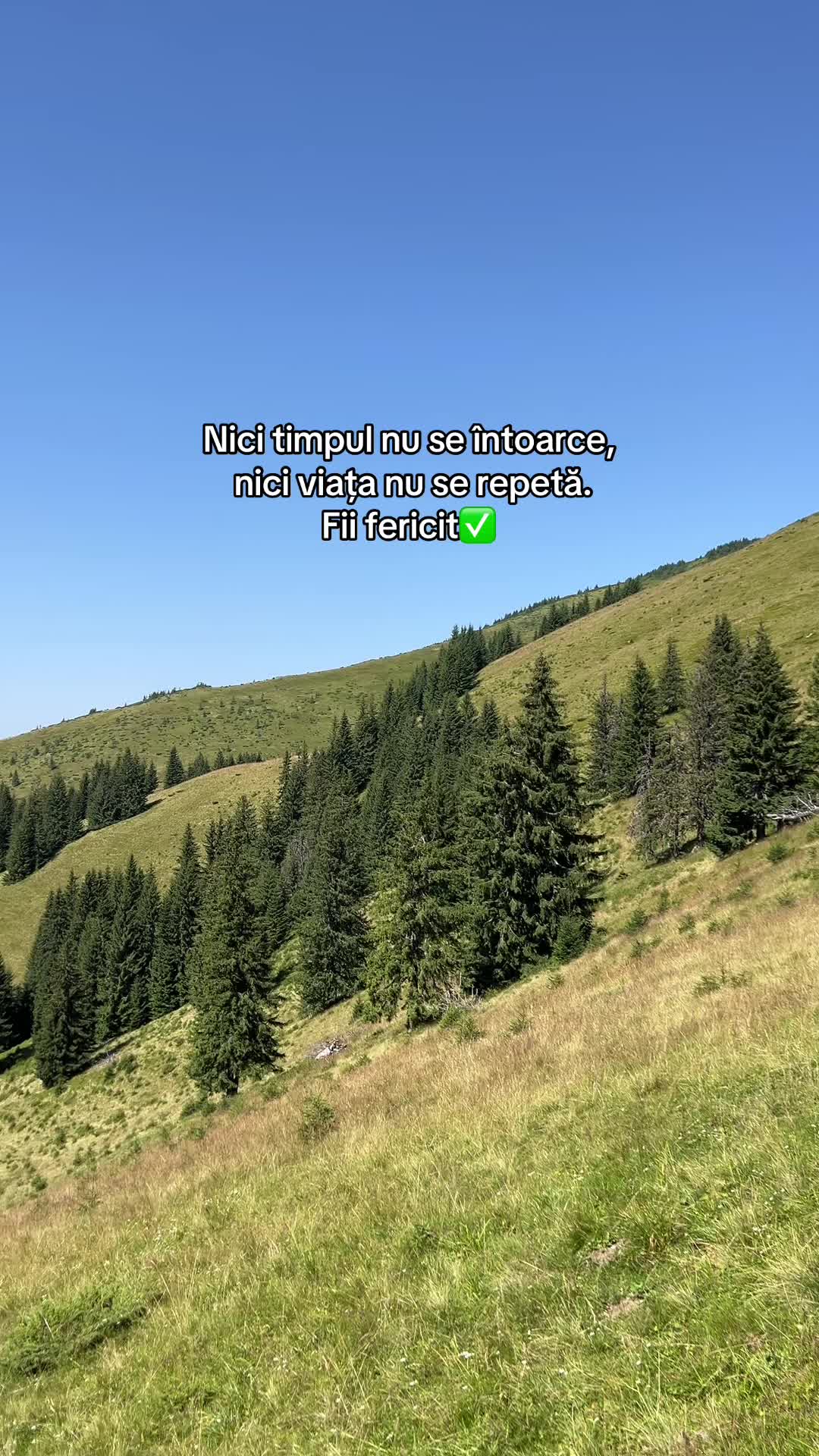 @𝚈𝚅𝙰𝙽