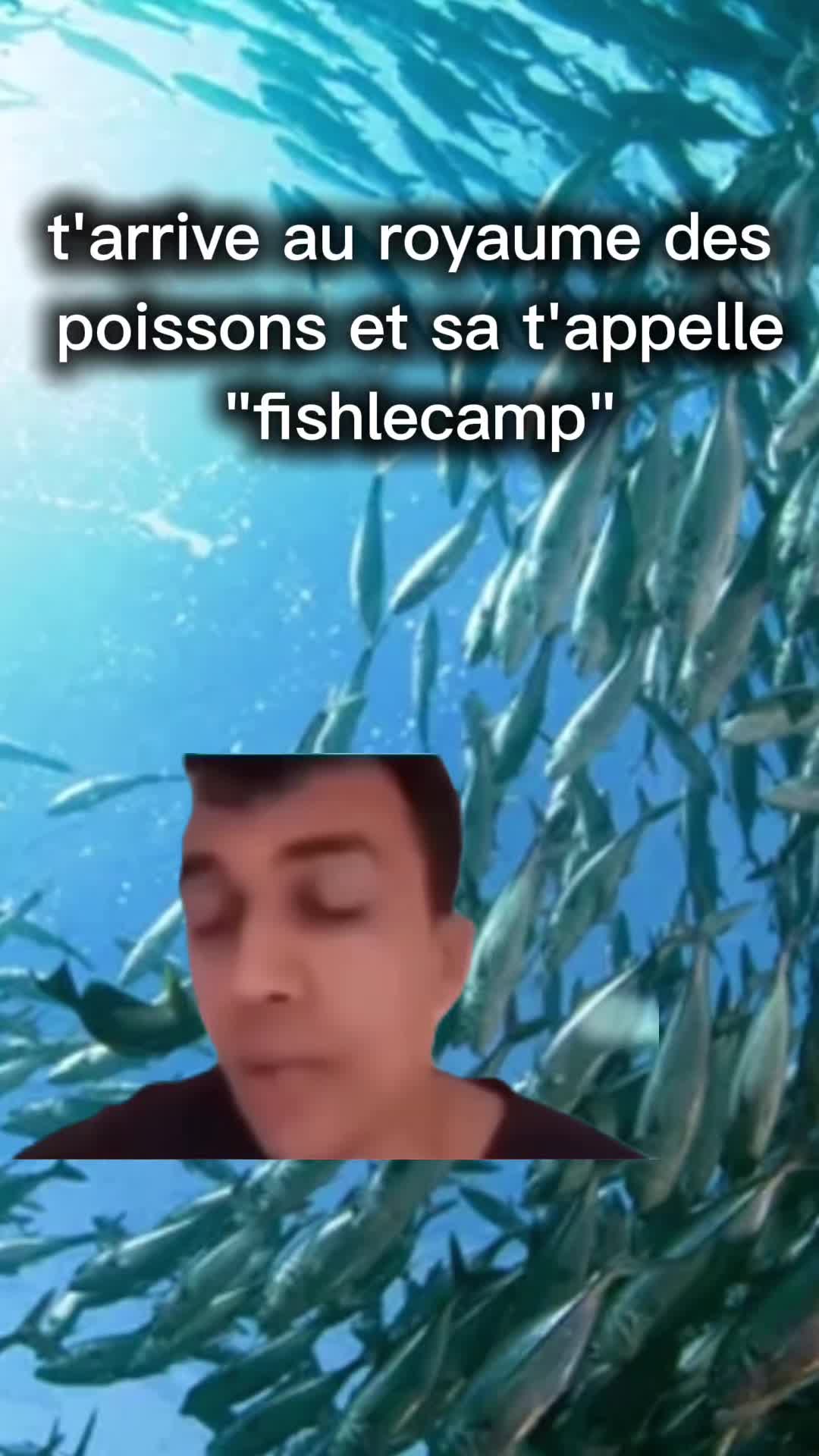 @TK78_meme