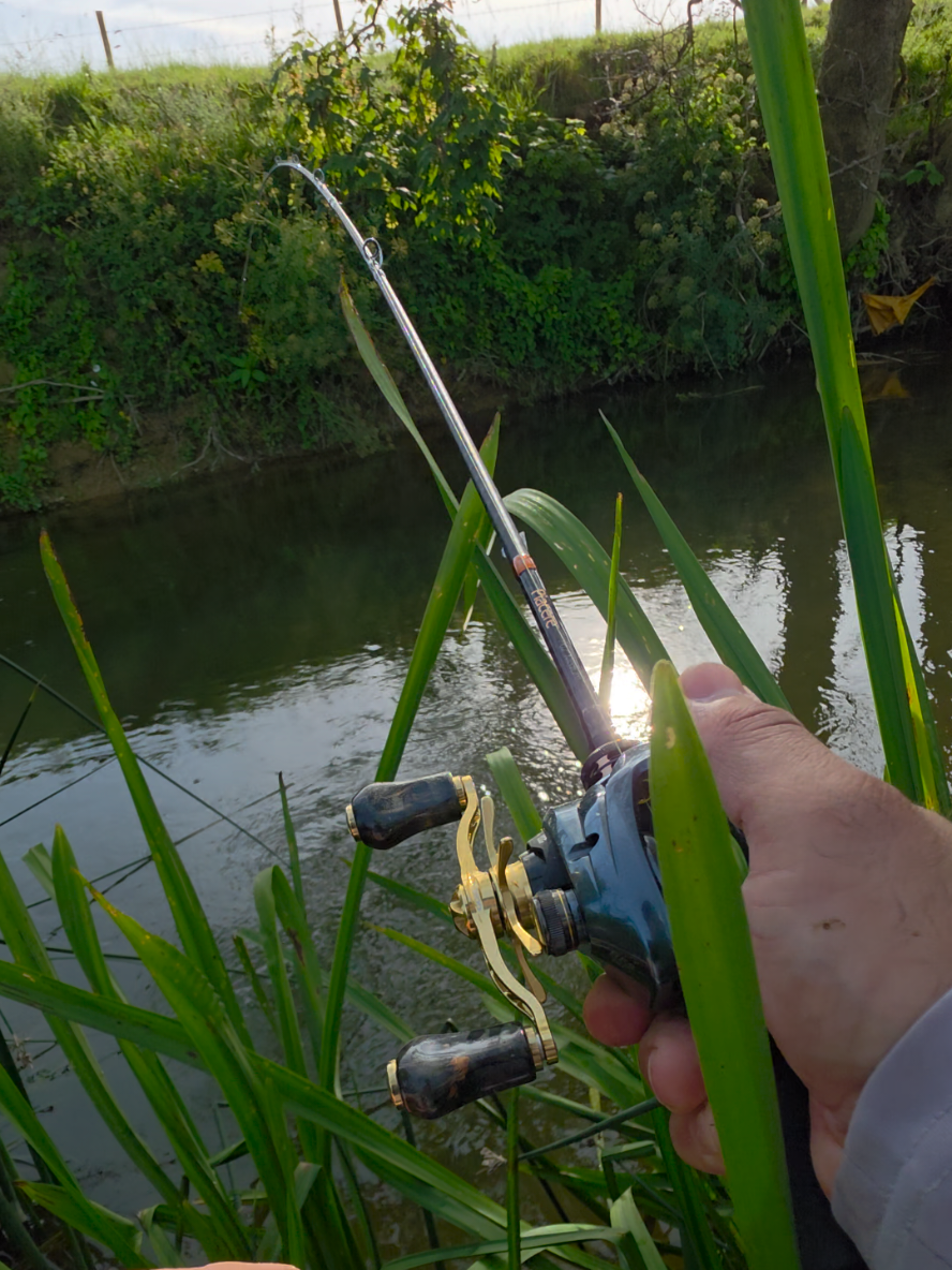 @BF Angler