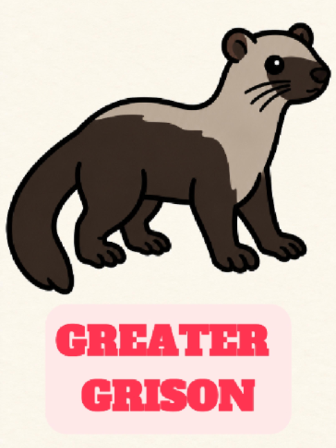 @WildlifeWonderTV Animal Facts